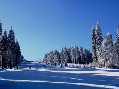 Chalet Hajovna Serlissky Mlyn