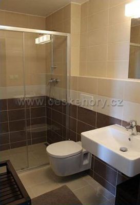 Ski apartments Bozi Dar