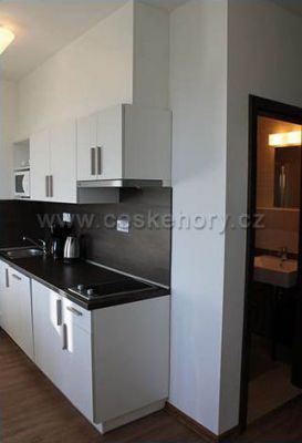 Ski apartments Bozi Dar