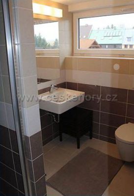 Ski apartments Bozi Dar