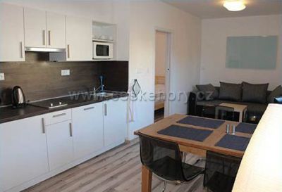 Ski apartments Bozi Dar