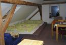 Apartments Pod vlekem