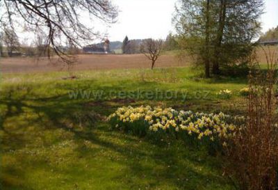 Cottage Červený Potok