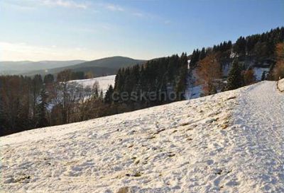 Apartment Tereza - Cottage Svadlenka