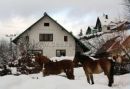 Pension U Barose