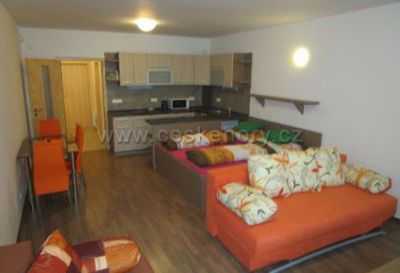 Apartment Ricky v Orlickych horach