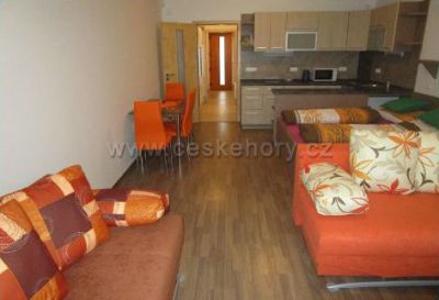 Apartment Ricky v Orlickych horach