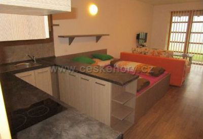 Apartment Ricky v Orlickych horach