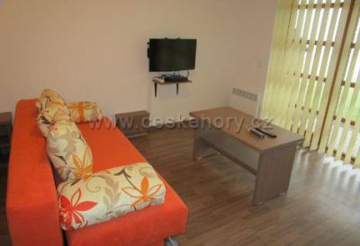 Apartment Ricky v Orlickych horach