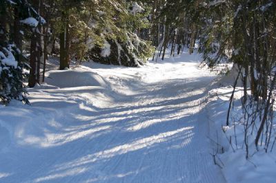 Sledding track Smržovka