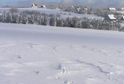 Cross-country skiing resort Dlouhá Louka