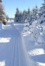 Cross-country skiing resort Dlouhá Louka