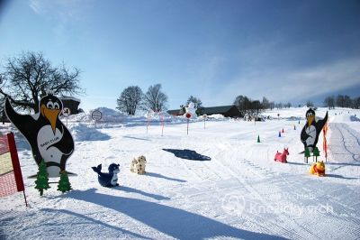 Ski centre Vrchlabí Kněžický vrch