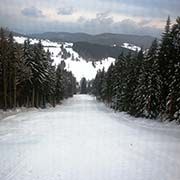 Ski resort Strážný