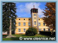 Olešnice v Orlických horách - Town-hall