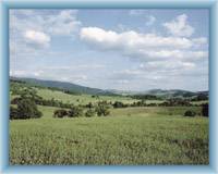 Sedloňov - landscape