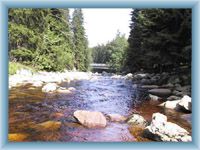 River Vydra near Antýgl