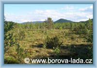Borová Lada - Chalupská peat-bog