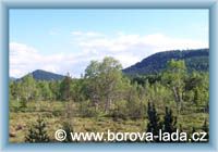 Borová Lada - Chalupská peat-bog