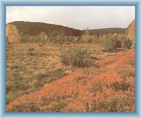 Peat-bog Chalupská slať