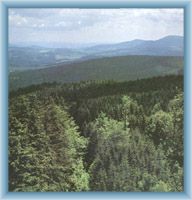 Sight of Blatenský les and mountain Kleť from Libín