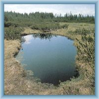 Lake in peat-bog Mlynářská slať