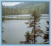 Lake Prášilské jezero