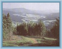 Sight from mountain Špičák to valley of Železná Ruda