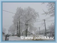 Polnička