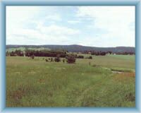 View to Čtyři palice