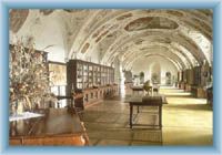 Castle`s library in Náměšt n. O.